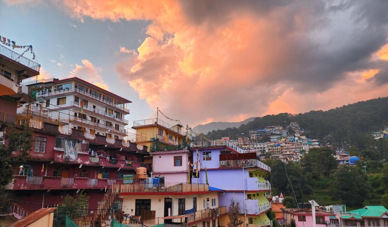 دارامشالا The Bougainvillea, Mcleodganj المظهر الخارجي الصورة